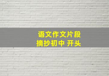 语文作文片段摘抄初中 开头